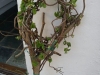 DSC00063