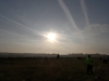 SAM_4469